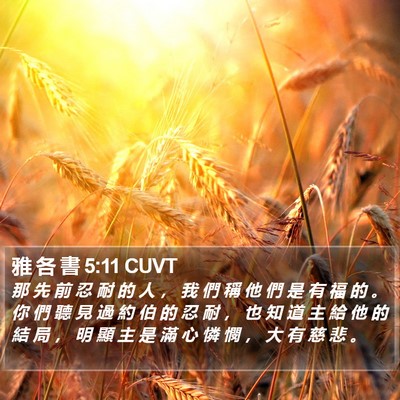 雅 各 書 5:11 CUVT Bible Verse Image