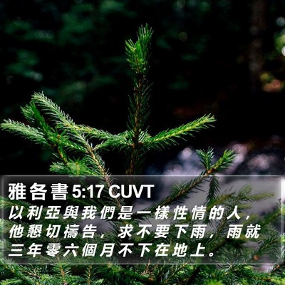 雅 各 書 5:17 CUVT Bible Verse Image