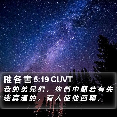 雅 各 書 5:19 CUVT Bible Verse Image