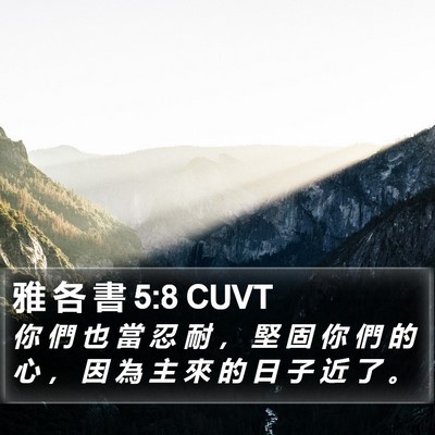 雅 各 書 5:8 CUVT Bible Verse Image