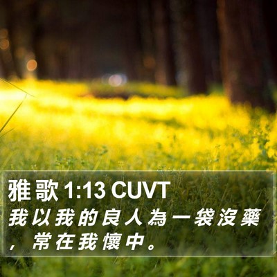 雅 歌 1:13 CUVT Bible Verse Image
