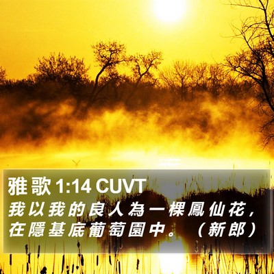 雅 歌 1:14 CUVT Bible Verse Image