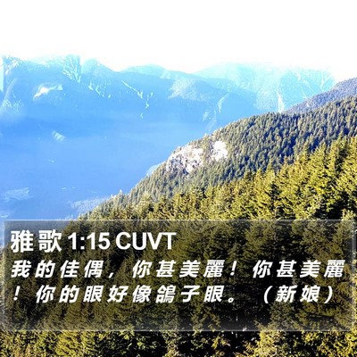 雅 歌 1:15 CUVT Bible Verse Image