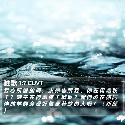 雅 歌 1:7 CUVT Bible Verse Image