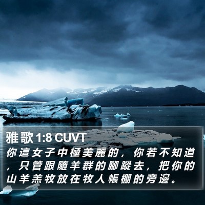 雅 歌 1:8 CUVT Bible Verse Image