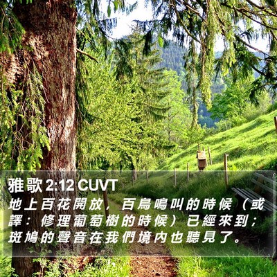 雅 歌 2:12 CUVT Bible Verse Image