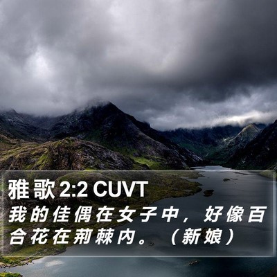 雅 歌 2:2 CUVT Bible Verse Image