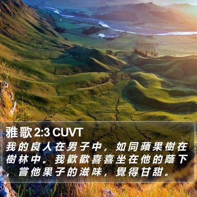 雅 歌 2:3 CUVT Bible Verse Image