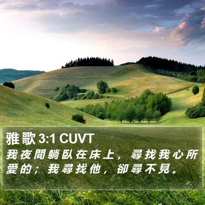 雅 歌 3:1 CUVT Bible Verse Image
