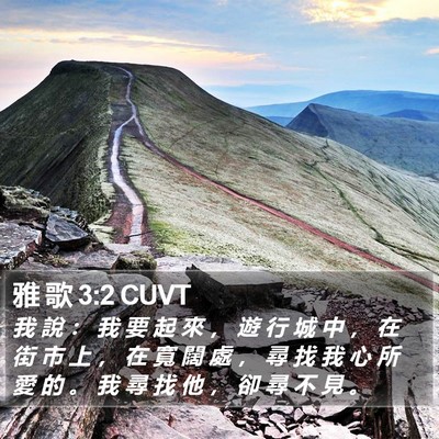 雅 歌 3:2 CUVT Bible Verse Image