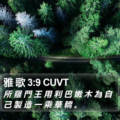 雅 歌 3:9 CUVT Bible Verse Image