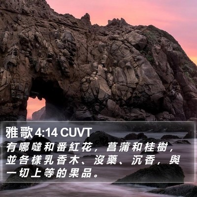 雅 歌 4:14 CUVT Bible Verse Image