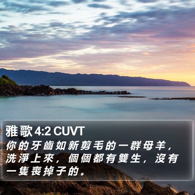 雅 歌 4:2 CUVT Bible Verse Image