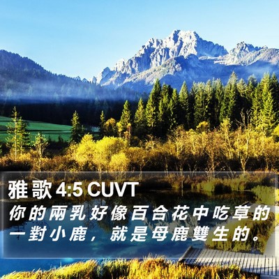 雅 歌 4:5 CUVT Bible Verse Image