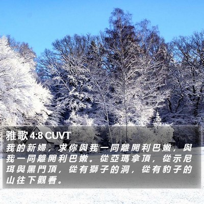 雅 歌 4:8 CUVT Bible Verse Image