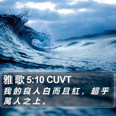 雅 歌 5:10 CUVT Bible Verse Image