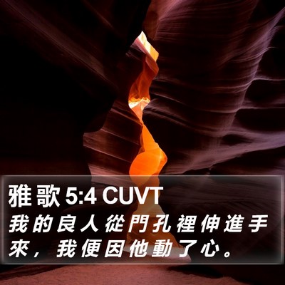 雅 歌 5:4 CUVT Bible Verse Image
