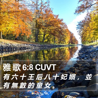 雅 歌 6:8 CUVT Bible Verse Image