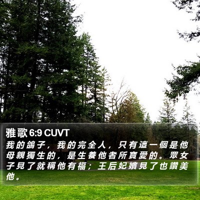 雅 歌 6:9 CUVT Bible Verse Image