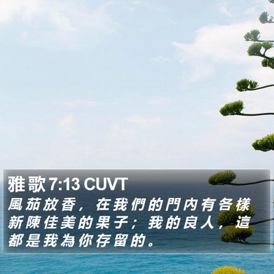 雅 歌 7:13 CUVT Bible Verse Image