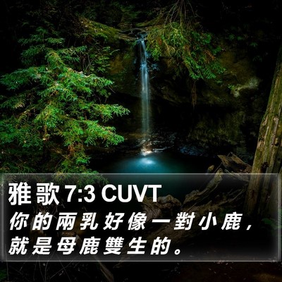 雅 歌 7:3 CUVT Bible Verse Image