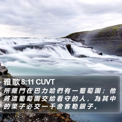 雅 歌 8:11 CUVT Bible Verse Image