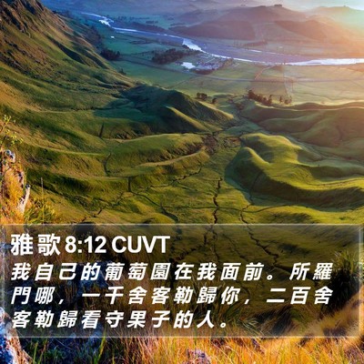 雅 歌 8:12 CUVT Bible Verse Image
