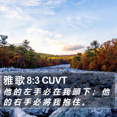 雅 歌 8:3 CUVT Bible Verse Image