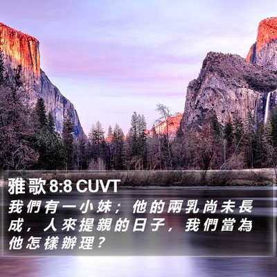 雅 歌 8:8 CUVT Bible Verse Image