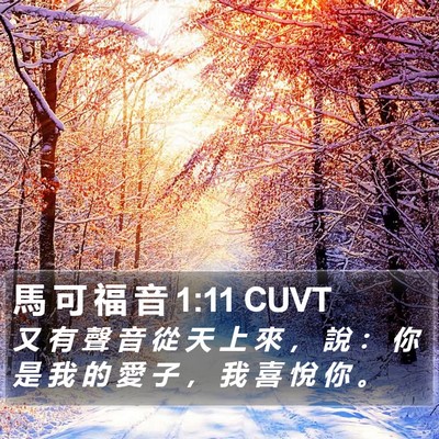 馬 可 福 音 1:11 CUVT Bible Verse Image