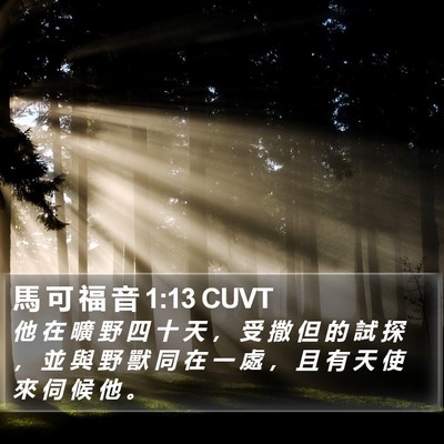 馬 可 福 音 1:13 CUVT Bible Verse Image