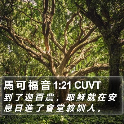 馬 可 福 音 1:21 CUVT Bible Verse Image