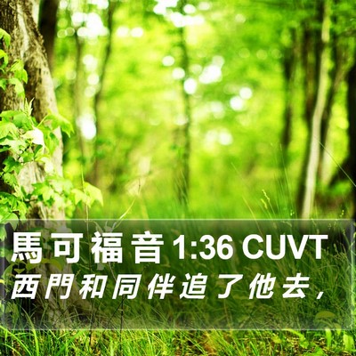 馬 可 福 音 1:36 CUVT Bible Verse Image