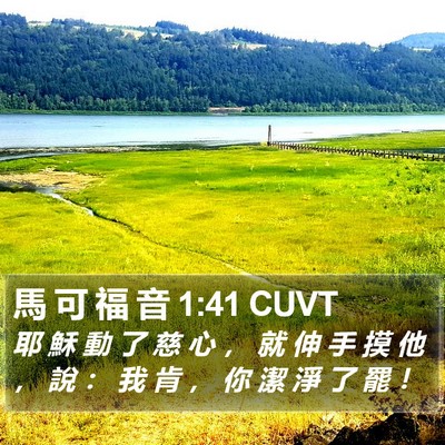 馬 可 福 音 1:41 CUVT Bible Verse Image