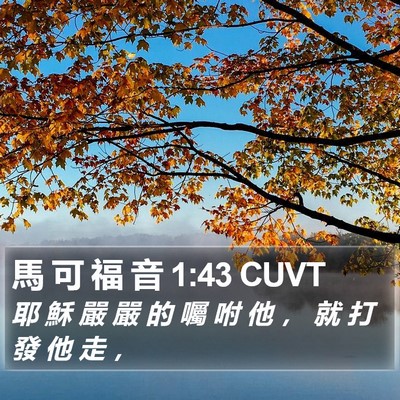 馬 可 福 音 1:43 CUVT Bible Verse Image