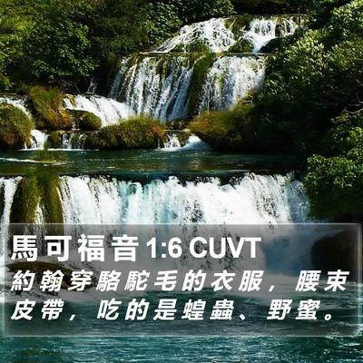 馬 可 福 音 1:6 CUVT Bible Verse Image