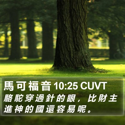 馬 可 福 音 10:25 CUVT Bible Verse Image