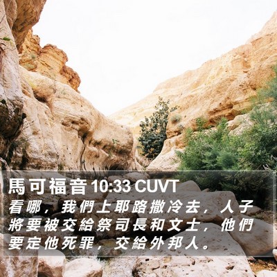 馬 可 福 音 10:33 CUVT Bible Verse Image