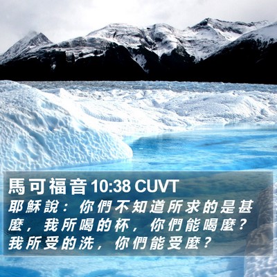 馬 可 福 音 10:38 CUVT Bible Verse Image