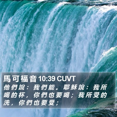 馬 可 福 音 10:39 CUVT Bible Verse Image
