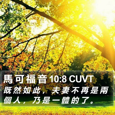 馬 可 福 音 10:8 CUVT Bible Verse Image