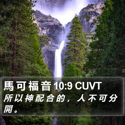 馬 可 福 音 10:9 CUVT Bible Verse Image
