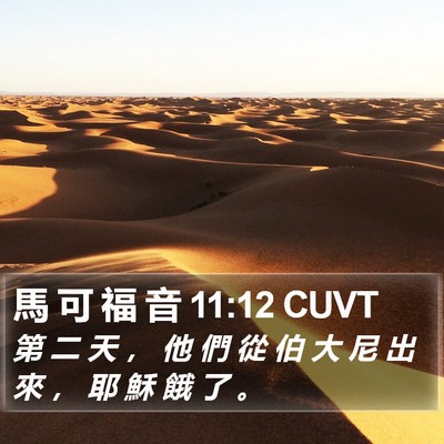 馬 可 福 音 11:12 CUVT Bible Verse Image