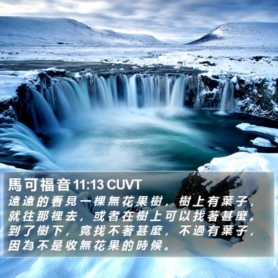 馬 可 福 音 11:13 CUVT Bible Verse Image