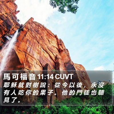 馬 可 福 音 11:14 CUVT Bible Verse Image