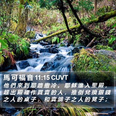馬 可 福 音 11:15 CUVT Bible Verse Image