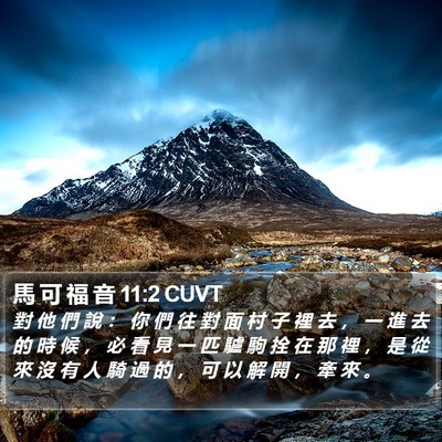 馬 可 福 音 11:2 CUVT Bible Verse Image