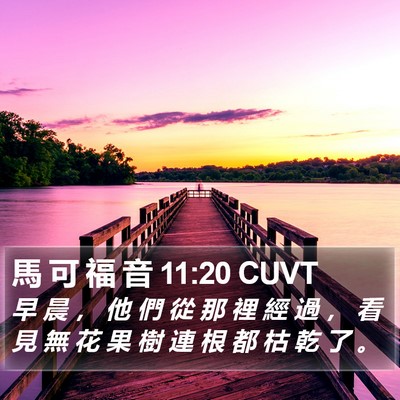馬 可 福 音 11:20 CUVT Bible Verse Image