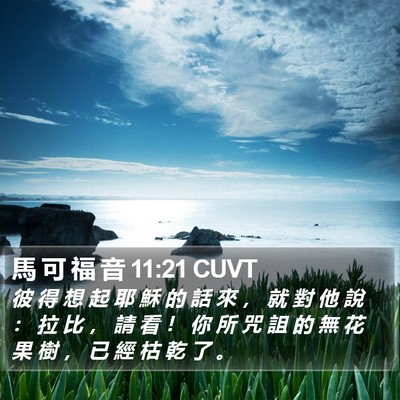 馬 可 福 音 11:21 CUVT Bible Verse Image