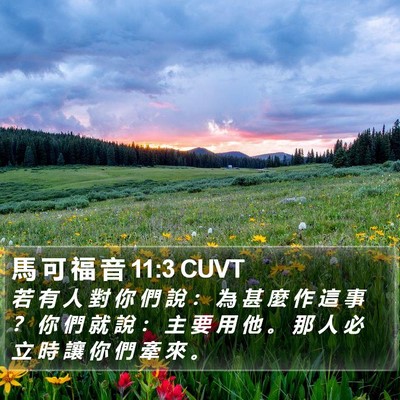 馬 可 福 音 11:3 CUVT Bible Verse Image